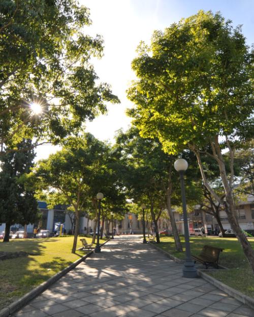 Centro histórico de la ciudad