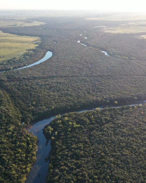 Río Uruguay