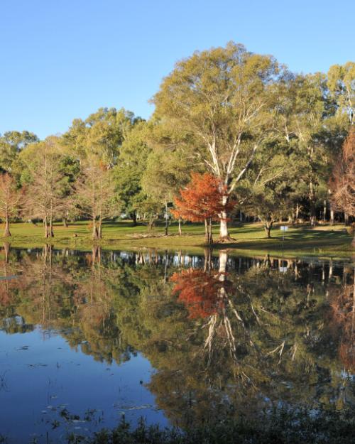 Parque del Lago