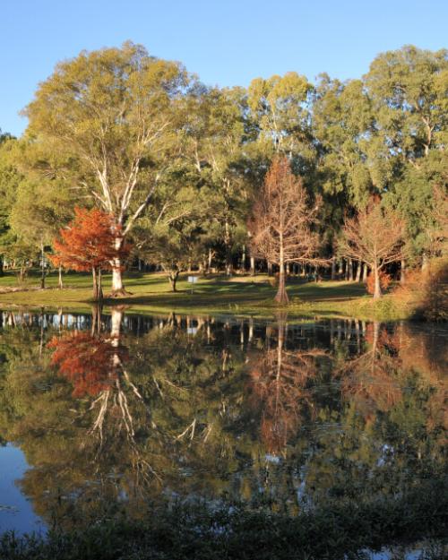 Parque del Lago